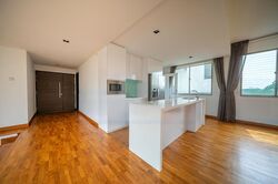 Nassim Regency (D10), Condominium #580722231
